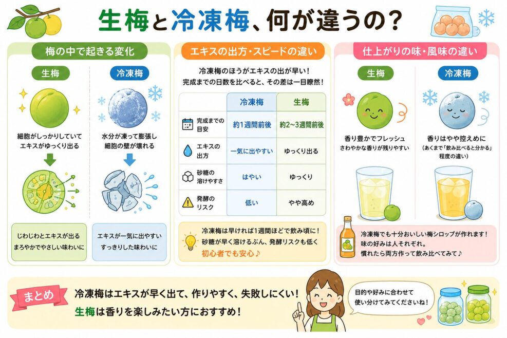 生梅と冷凍梅、何が違う？.レモンシロップ